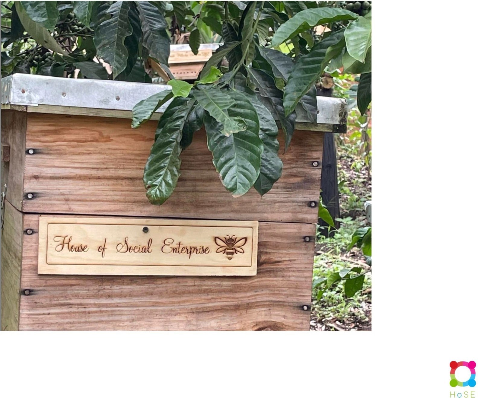 House of Social Enterprise beehive